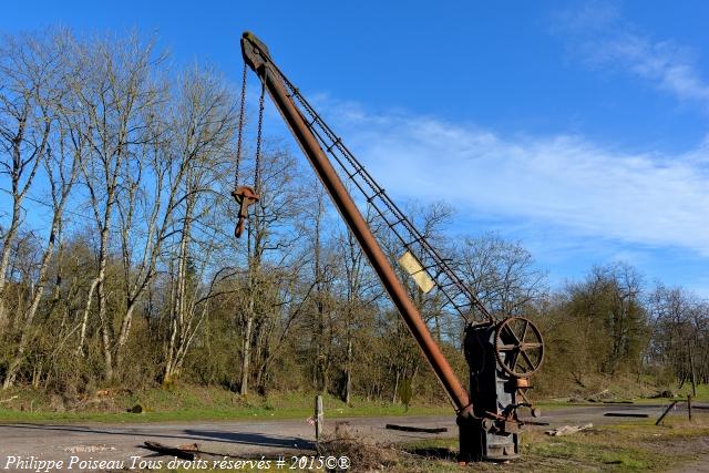 Grue de Tamnay en Bazois Nièvre Passion