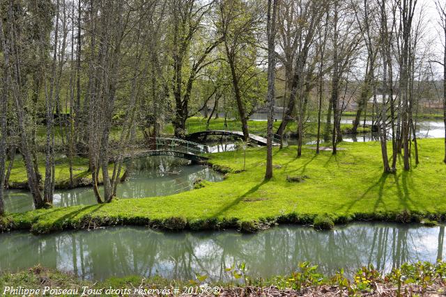 Parc de Guérigny Nièvre Passion