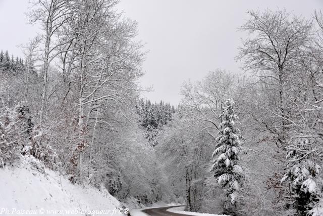 Le Haut Folin Nièvre Passion