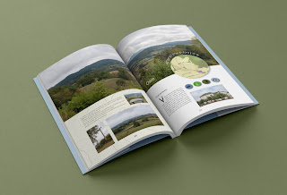 Livre sur les panoramas