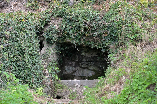 Lavoir de Forcy Nièvre Passion