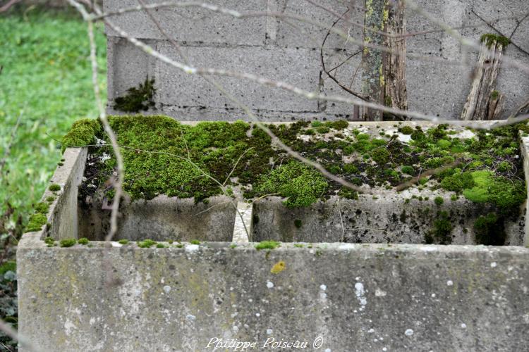 Le petit lavoir des Bordes