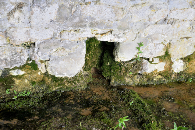 Lavoir Les Aubues