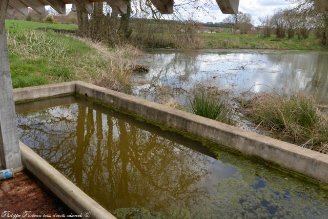 Lavoir de Dienne Aubigny Les Chaises