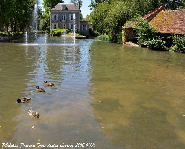 Lavoirs du Quai de Donzy Nièvre Passion