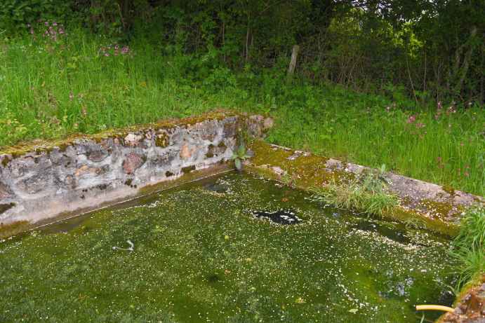 Le lavoir de Neuilly