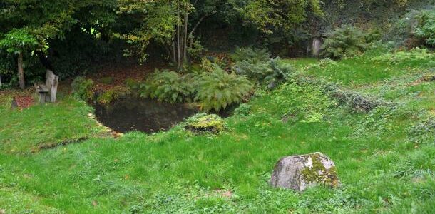 Le Lavoir de "Les Serrées"