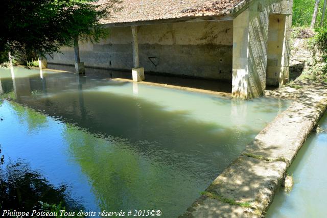 Lavoir de Narcy un patrimoine vernaculaire