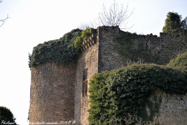 Château Chandioux de Maux Nièvre Passion