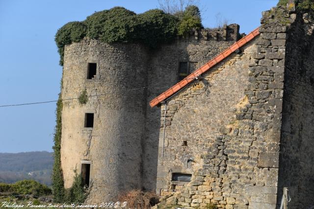 Château Chandioux de Maux Nièvre Passion