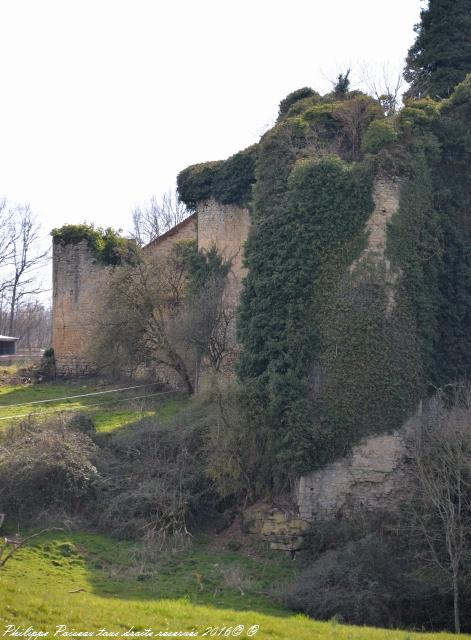 Château Chandioux de Maux Nièvre Passion