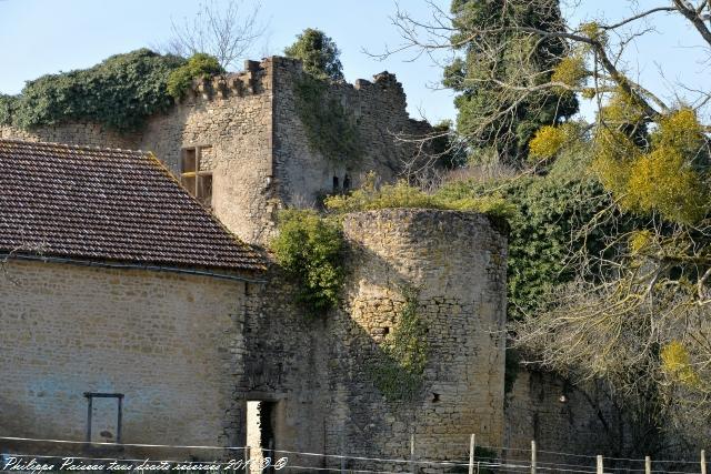 Château Chandioux de Maux Nièvre Passion