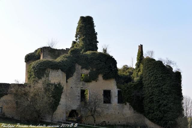 Château Chandioux de Maux Nièvre Passion