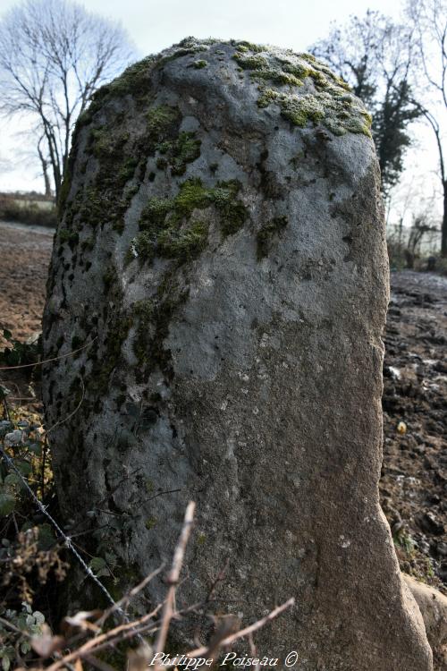 Le menhir de Bourras un patrimoine