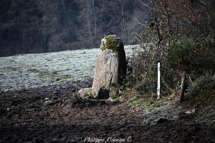 Le menhir de Bourras 