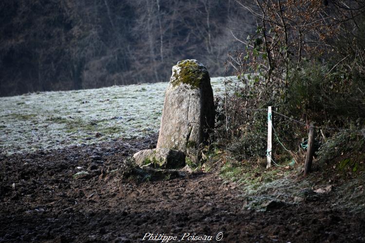 Le menhir de Bourras un patrimoine