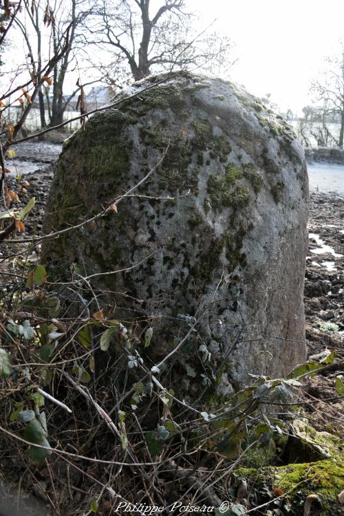 Le menhir de "Bourras"