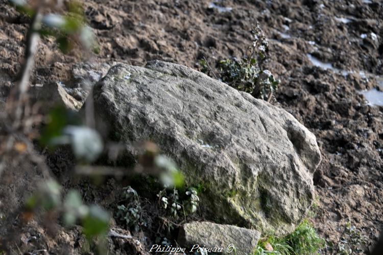 Le menhir de "Bourras"