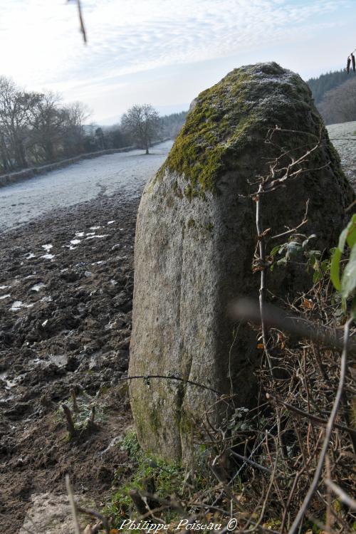 Le menhir de Bourras 