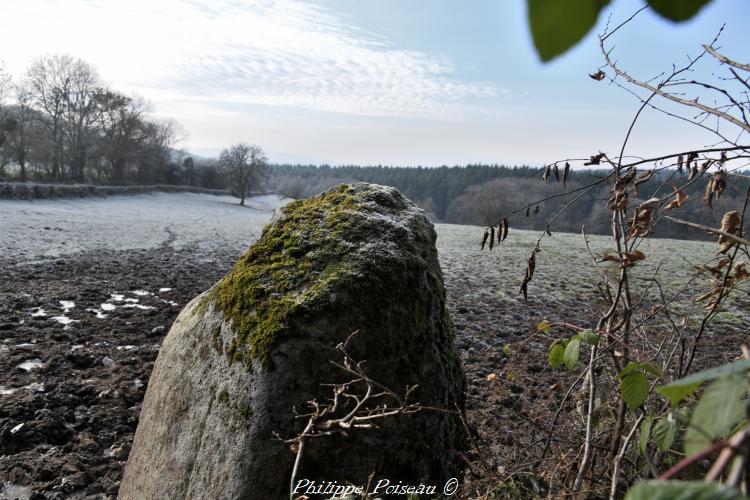 Le menhir de "Bourras"