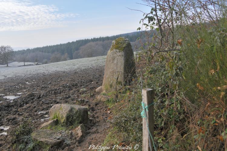 Le menhir de Bourras 