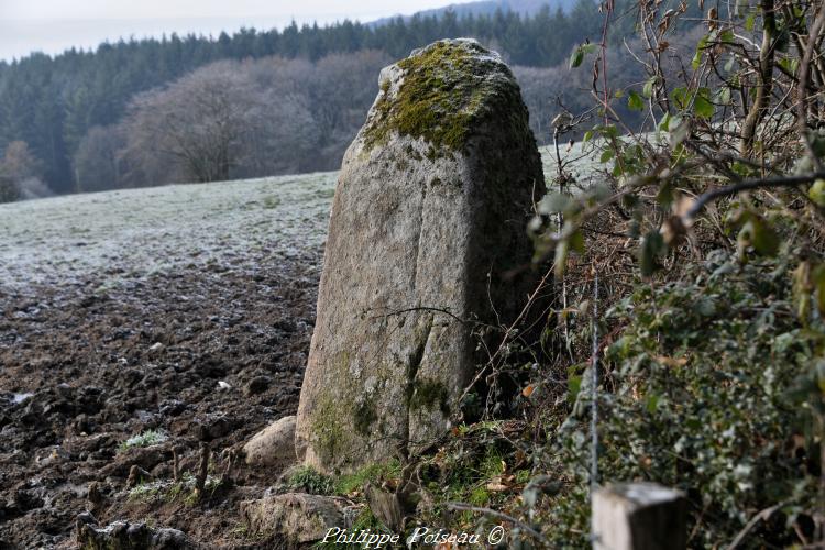 Le menhir de Bourras un patrimoine