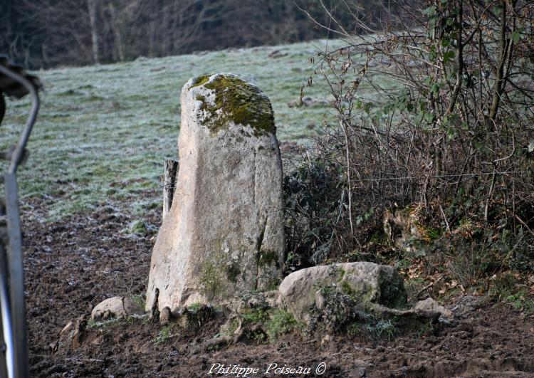 Le menhir de Bourras un patrimoine