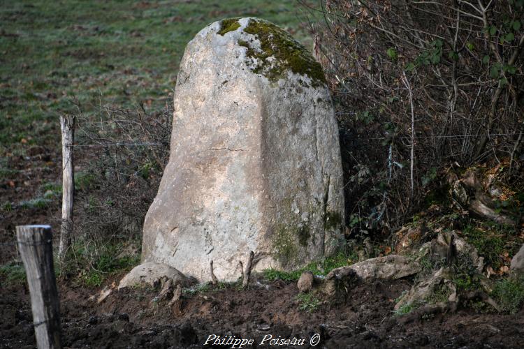 Le menhir de Bourras 