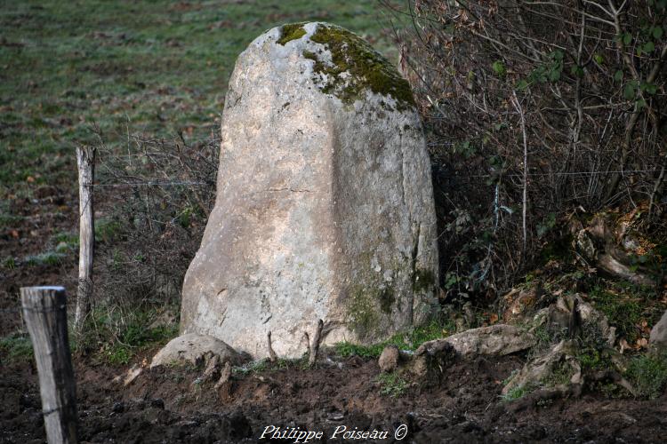 Le menhir de Bourras un patrimoine