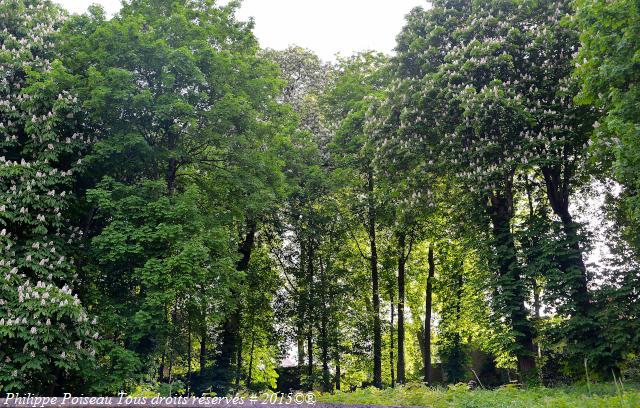 Le Parc Buffon de Montbard