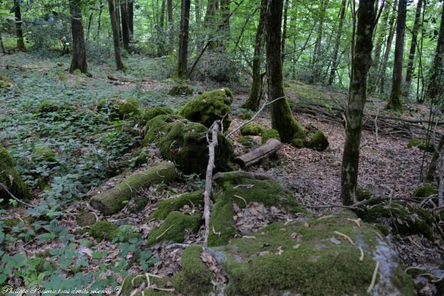 La "Pierre du Sacrifice" de Saint-Saulge
