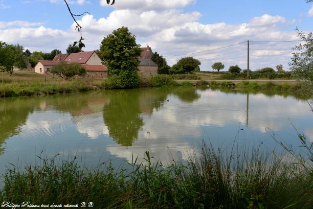 Plan d’eau de Bussière un patrimoine naturel