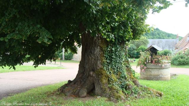 Le puits de la place de Oulon