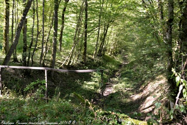 Ponts de la rigole d'Aron