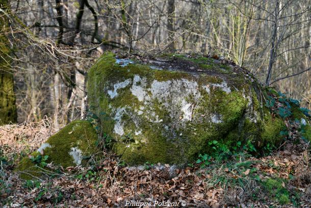 La roche à cupule de l'Auxois