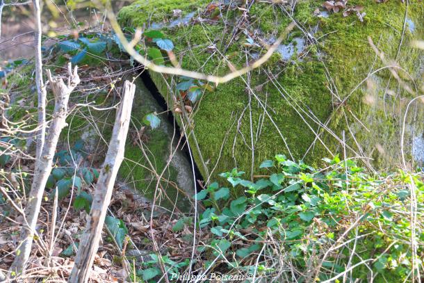 La roche à cupule de l'Auxois