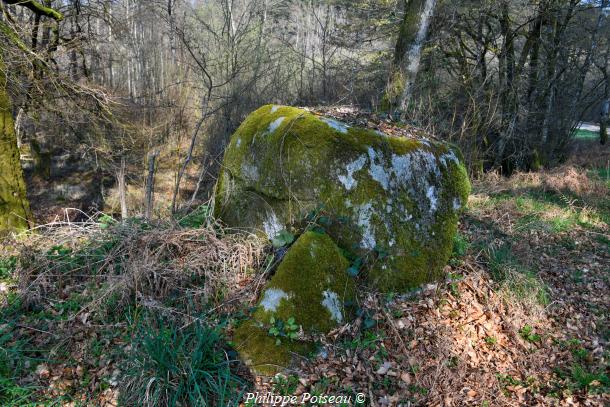 La « roche à cupule de l&rsquo;Auxois » un beau patrimoine