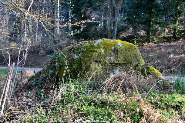 La roche à cupule de l'Auxois