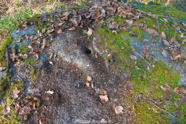 La roche à cupule de l'Auxois