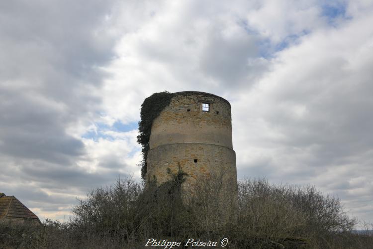 Ruines du moulin Les Eventées