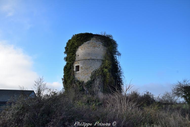 Ruines du moulin Les Eventées