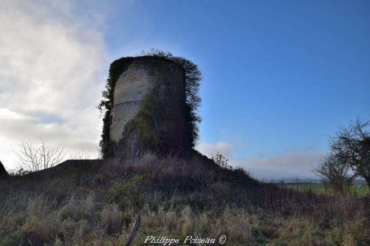 Ruines du moulin Les Eventées