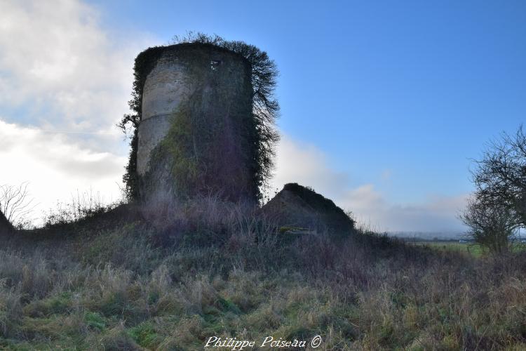 Ruines du moulin Les Eventées