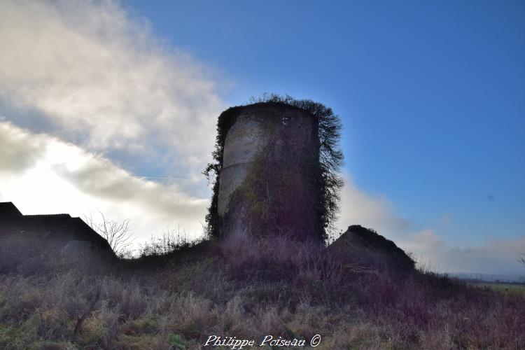 Ruines du moulin Les Eventées