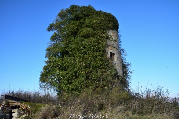 Ruines du moulin Les Eventées