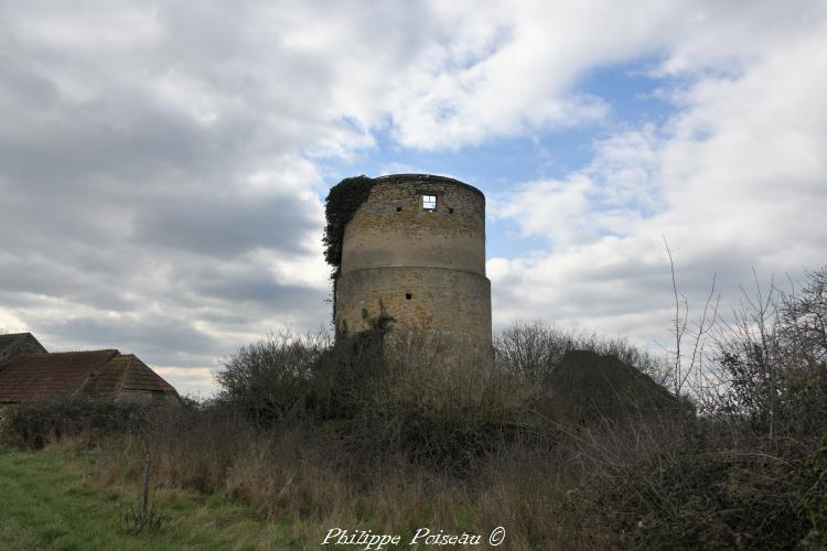 Ruines du moulin Les Eventées