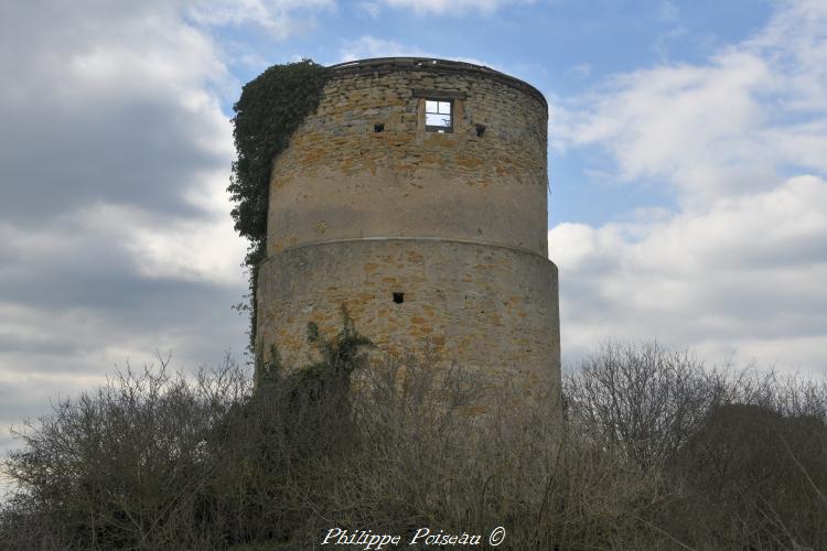 Ruines du moulin Les Eventées