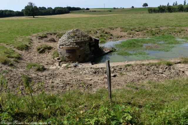 Sources des Pierres Fontaine un patrimoine de Sougy sur Loire