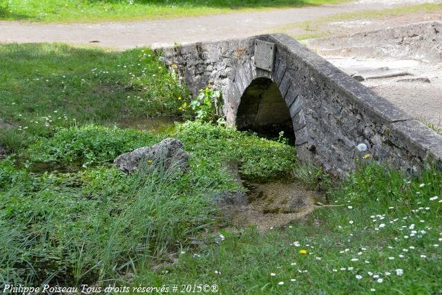 Source de la Seine Philippe Poiseau