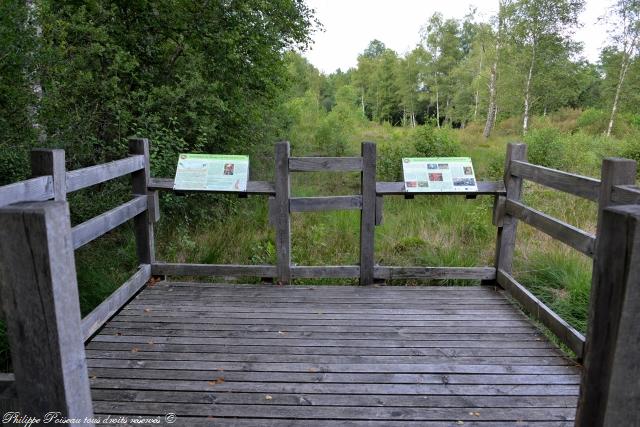 Tourbière du Vernay un beau patrimoine naturel